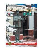 Профессионал